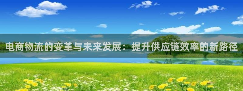 多多28南宫娱乐官网：电商物流的变革