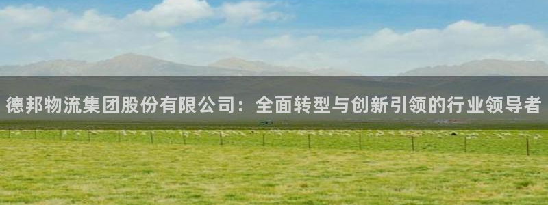 多多28p扣款什么意思：德邦物流集团股份有限公司：全面转型与