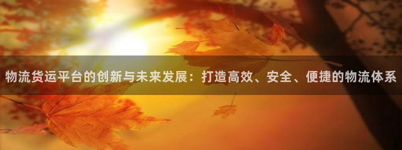 多多28加拿大模拟器：物流货运平台的