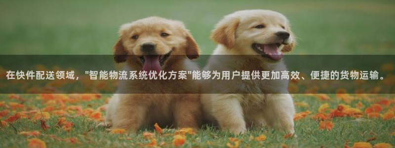 多多28里的财神：在快件配送领域，\