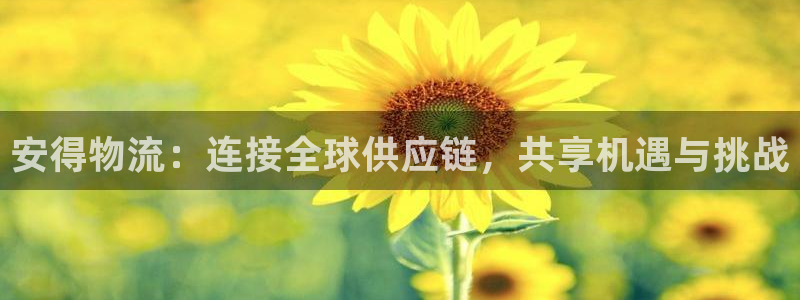 多多28黑不黑：安得物流：连接全球供