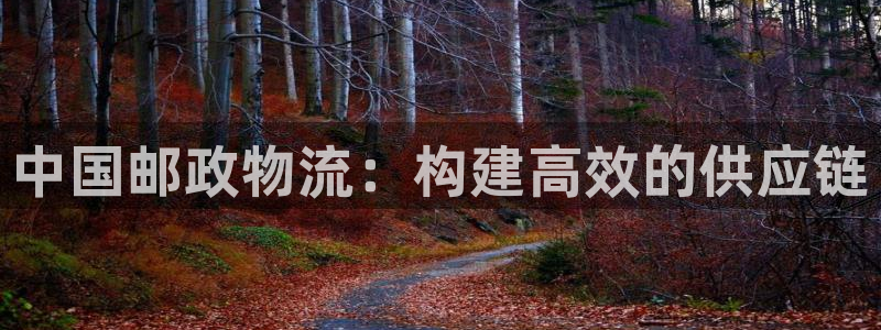 多多28pg如何退钱：中国邮政物流：
