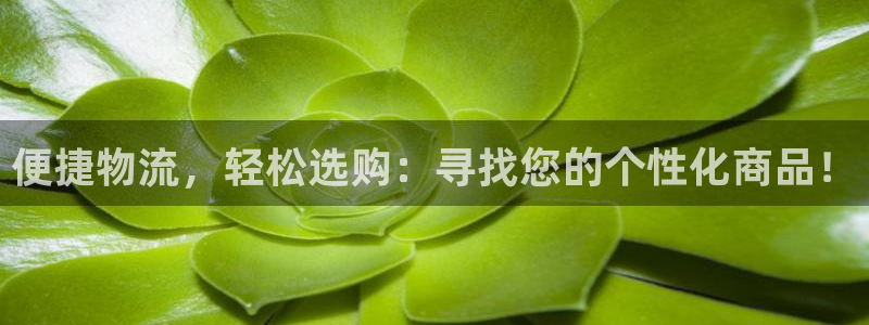 多多28官网下载谁有：便捷物流，轻松