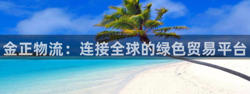 多多28怎么注册：金正物流：连接全球