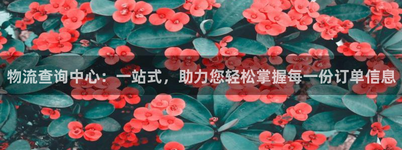 多多28加拿大是什么：物流查询中心：