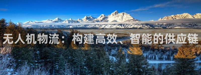 多多28加拿大能提现吗：无人机物流：