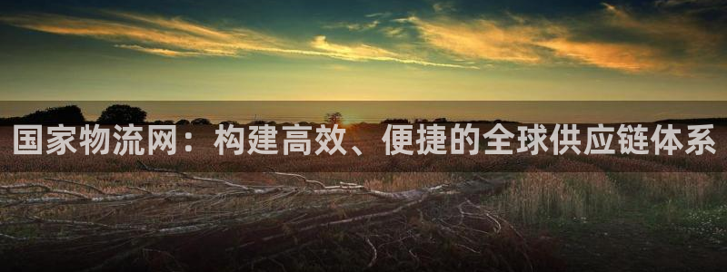 多多28官网入口正版：国家物流网：构