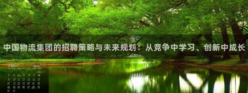 加拿大多多28是什么：中国物流集团的