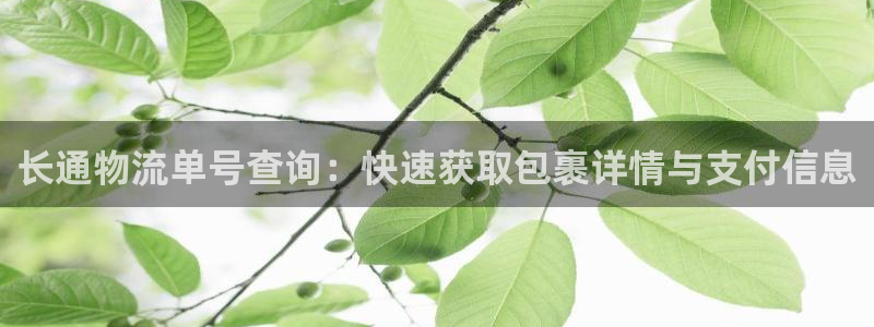 多多28PG电子游戏：长通物流单号查