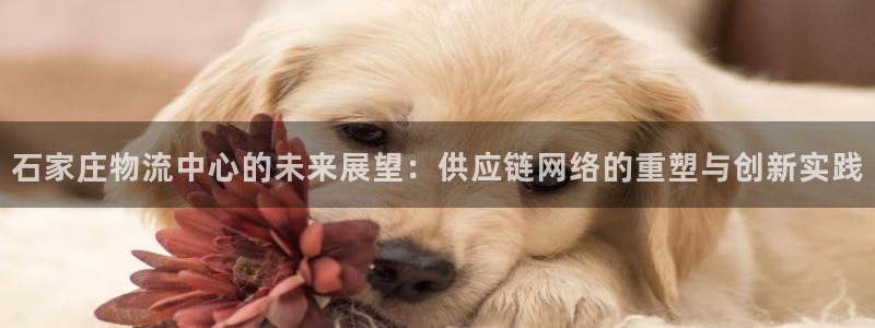 多多28官网下载链接：石家庄物流中心