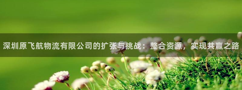 多多28注册步骤：深圳原飞航物流有限