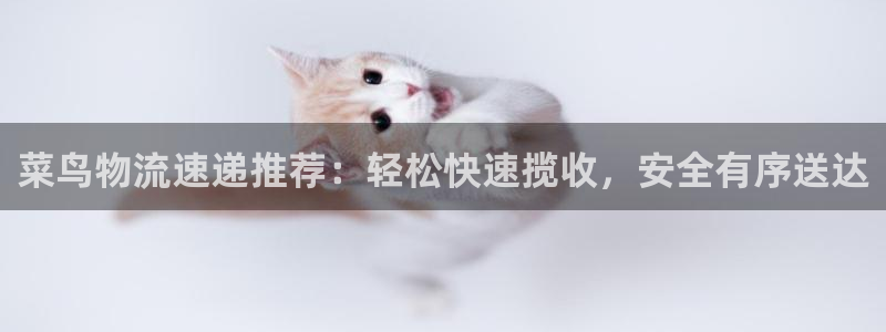 多多28麻将胡了：菜鸟物流速递推荐：轻松快速揽收，安全有序送