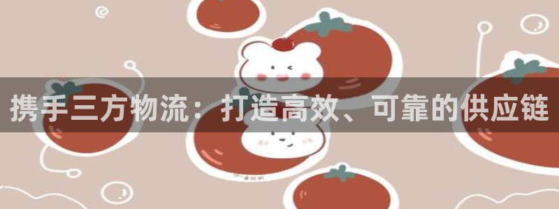 多多28注册条件：携手三方物流：打造高效、可靠的供应链