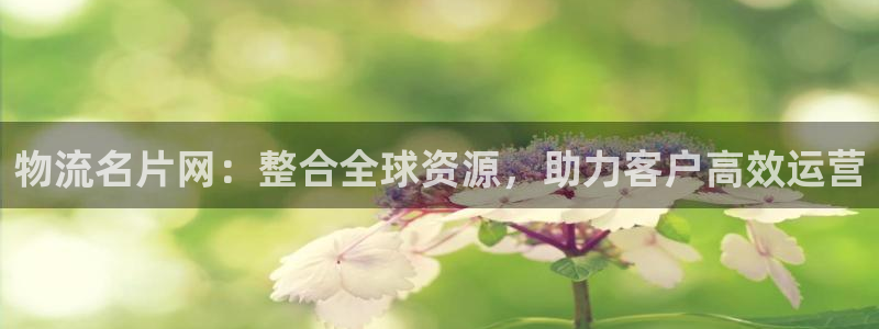 多多28官网入口pc预测：物流名片网：整合全球资源，助力客户