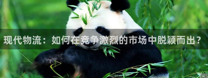 多多28加拿大走势：现代物流：如何在