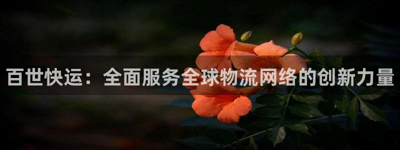 多多28加拿大最新版:百世快运:全面