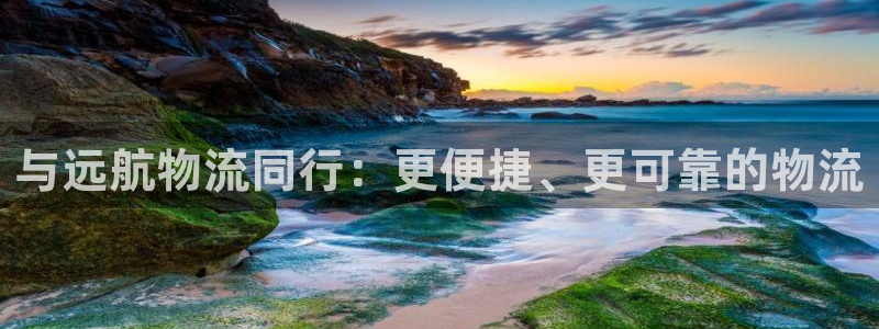 多多28链接是什么