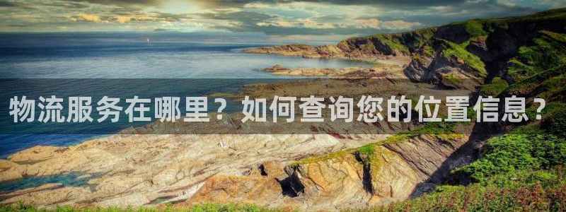 多多28如何看计划:物流服务在哪里?