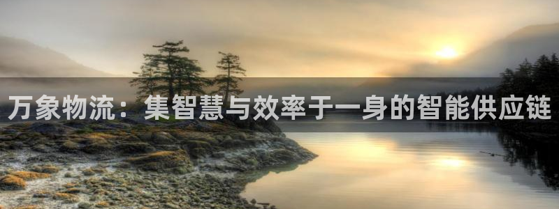 多多28怎么注册游戏名字：万象物流：