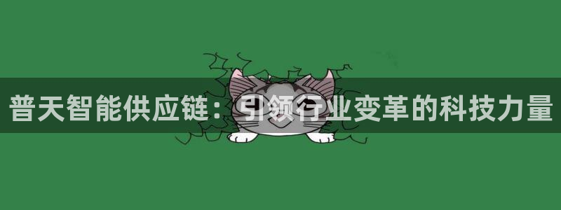 多多28h5链接：普天智能供应链：引领行业变革的科技力量