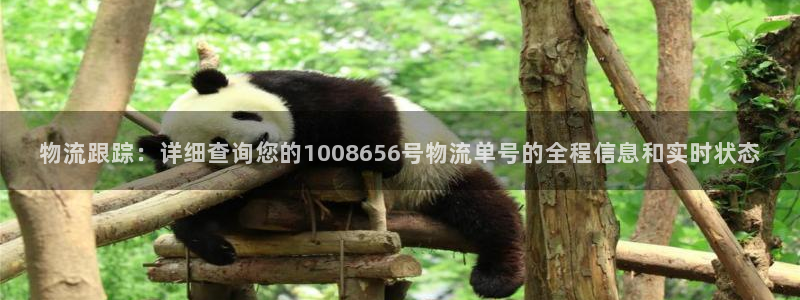 多多28代理落网：物流跟踪：详细查询